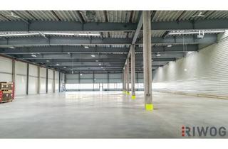 Immobilie mieten in 2100 Korneuburg, Produktions-/Lagerfläche mit ca. 6.200m² | Höhe ca. 7,60m | Teilflächen ab ca. 1.300m² möglich | Rampen und ebenerdige Einfahrt