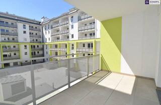 Wohnung mieten in 2320 Schwechat, Perfekte 2-Zimmer-Wohnung im Innenhof. Schnell sein...