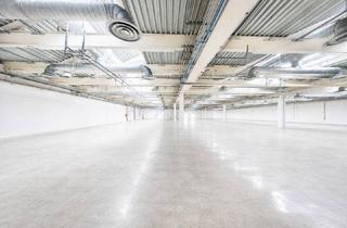 Büro zu mieten in 2100 Korneuburg, Produktions-/Lagerfläche mit ca. 2.000m² | ebenerdig & beheizt | direkte Autobahnanbindung