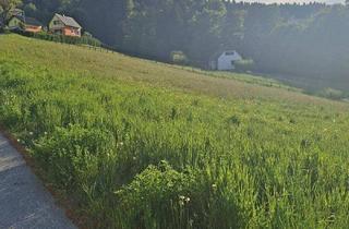 Grundstück zu kaufen in 8570 Voitsberg, Großes Baugrundstück (teilbar)!