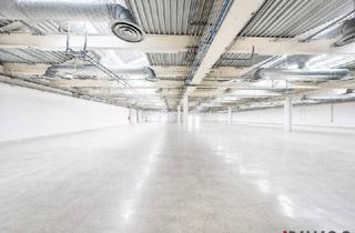 Immobilie mieten in 2100 Korneuburg, Produktions-/Lagerfläche mit ca. 2.000m² | ebenerdig & beheizt | direkte Autobahnanbindung