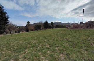 Grundstück zu kaufen in 2803 Schwarzenbach, Grundstück in Schwarzenbach (Nö)