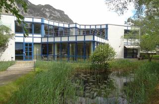 Büro zu mieten in 6175 Kematen in Tirol, Großzügige Bürofläche mit Garten und Terrasse in Kematen zu Mieten