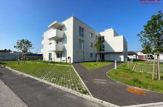 Wohnung mieten in Hörrgasse 31, 4060 Leonding, 7 Mietwohnungen mit Kaufoption in Leonding/Doppl - Neubau/Erstbezug mit dem unbezahlbaren Vorteil nicht vom Plan kaufen zu müssen - Attraktive Vorsorgemöglichkeit für Ihre Zukunft!