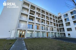 Anlageobjekt in 8020 Graz, Anlageobjekt mit vielseitiger Nutzung in Eggenberg - Nähe FH Joanneum