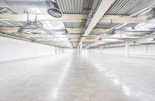 Lager mieten in Korneuburg Nord - Autobahn, 2100 Korneuburg, Produktions-/Lagerfläche mit Ca. 2.000M² | Ebenerdig & Beheizt | Direkte Autobahnanbindung