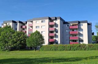 Wohnung mieten in 3160 Traisen, *bald verfügbar* Wohnung zu vermieten privat