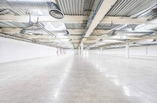 Büro zu mieten in 2100 Korneuburg, Produktions-/Lagerfläche mit ca. 2.000m² | ebenerdig & beheizt | direkte Autobahnanbindung