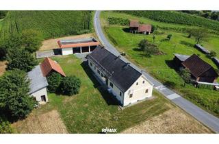 Haus kaufen in 8355 Tieschen, Lage, Lage, Lage – Rückzugsort im Grünen: Landhaus mit rund 8.000 m² Grundstück nahe Tieschen