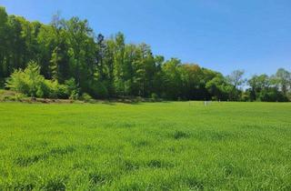 Grundstück zu kaufen in 8350 Fehring, Vulkan & Thermenregion - Baugründe, sonnige Stadtrandlage 971m² bis 1000m² Dichte 0,2-0,4