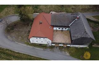 Bauernhäuser zu kaufen in 4451 Oberdambach, Bauernhof - Nähe Steyr