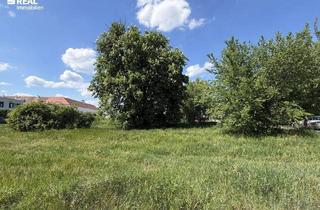 Grundstück zu kaufen in 7100 Neusiedl am See, Wohnen nahe dem Neusiedler See - ruhige Lage - zentrumsnah