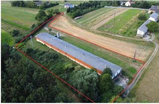 Gewerbeimmobilie kaufen in 7552 Stinatz, Mietkauf oder Kauf - vielfältige Gewerbefläche mit 1821 m² Nfl. - ideal für Ihre Pläne!