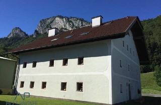 Wohnung mieten in 5400 Hallein, MiniMax!