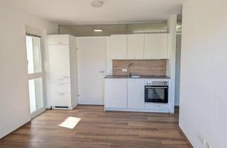 Wohnung kaufen in Haager Straße, 4400 Steyr, Neuwertige und freie Eigentumswohnung Steyr 35 m2 - Haager Straße 8