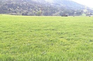 Grundstück zu kaufen in 6406 Oberhofen im Inntal, Langfristige Wertanlage für Ihren Betrieb – 1,4 ha in Oberhofen