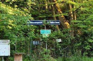 Grundstück zu kaufen in 1140 Wien, 2539 m² Grünland für Naturliebhaber zu verkaufen! Mit atemberaubendem Ausblick, Nähe Augustinerwald!