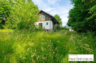 Haus kaufen in 9074 Keutschach, Sommerhäuschen "ERIKA" am Keutschacher See - 10 Gehminuten vom See entfernt - 1000 m² Baugrund