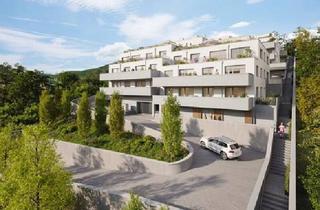 Wohnung kaufen in 3002 Purkersdorf, LEBEN auf der SONNENSEITE - 4-Zimmer-Terrassenwohnung - PROVISIONSFREI