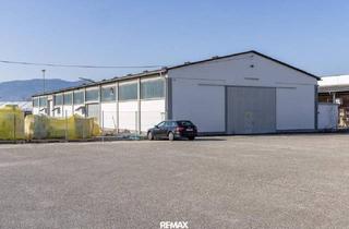 Büro zu mieten in 4542 Nußbach, Mitten im Gewerbegebiet Auern - fast 1.000 m² Halle für Produktion oder Logistik