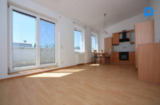 Penthouse kaufen in 2201 Gerasdorf, PENTHOUSE, hell, 2 Zimmer + 2 Terrassen u. Autoabstellplatz, S-BAHN , ca. 34 Minuten zum Praterstern. hohe Räume bis 3,40m!