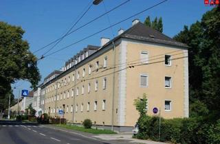 Wohnung mieten in Hatschekstraße 14, 4020 Linz, Perfekte Starterwohnung in Linz/Bindermichl – 35 m² mit separater Küche! Bezugstermin 01. Juni 2026!