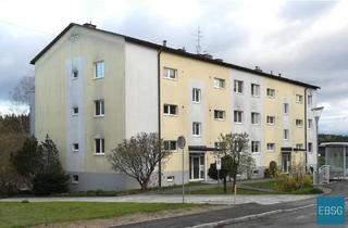 Wohnung mieten in Hauptstraße 183 U. WE 6, 3871 Alt-Nagelberg, 1-Zimmerwohnung