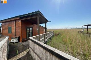 Haus kaufen in Strandbadsiedlung, 7121 Weiden am See, ++ Seehaus mit unverbaubarem Weitblick + 2 Bootsplätze + E-Boot I MB IMMOBILIEN ++