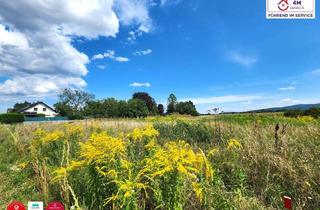 Grundstück zu kaufen in 2700 Wiener Neustadt, Fahnengrundstück in Grünlage am Stadtrand für IHR ruhiges Eigenheim