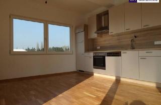 Wohnung mieten in 8041 Graz, SONNENGLÜCK TRIFFT WOHNGEFÜHL – ein Zuhause, das umarmt! Lassen Sie sich diese wunderschöne Gelegenheit nicht entgehen! Gleich Besichtigungstermin vereinbaren
