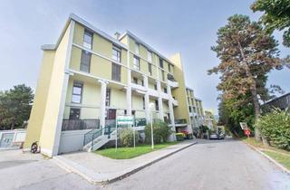 Maisonette kaufen in Am Blumenhang, 8010 Graz, Top Wohnung | Top Lage | Top Adresse | Top Preis Großzügige Maisonettewohnung mit ca. 150 m² – kein Bieterverfahren