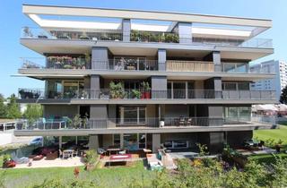 Wohnung mieten in 6900 Bregenz, 2-ZI-Wohnung in Bregenz zu vermieten!