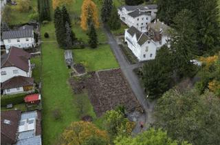 Grundstück zu kaufen in 3433 Königstetten, Attraktives Entwicklungsgrundstück nahe Wien – ca. 1 ha Bauland + 5.000 m² Grünland im Wienerwald
