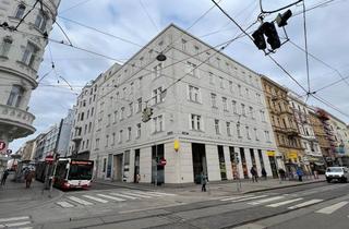 Büro zu mieten in Strozzigasse, 1080 Wien, Attraktives City Office in zentraler Lage der Josefstadt