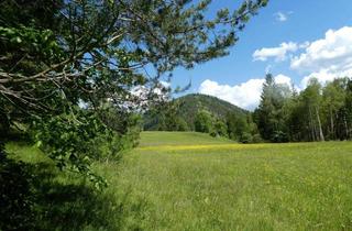 Grundstück zu kaufen in 2663 Rohr im Gebirge, Traumhafte Liegenschaft im Schneeberg-/Raxgebiet 15.000 m2 Eigengrund (Baugrund, Grünland, kleiner Forst)