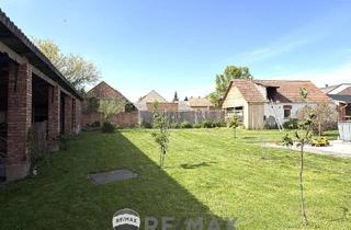 Einfamilienhaus kaufen in 2464 Göttlesbrunn, " Einfamilienhaus mit Ausbau- & Grundstück mit Teilungspotenzial "