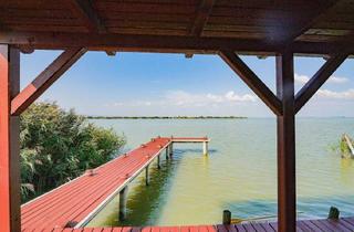 Haus kaufen in Freistadt Rust, Eisenstadt, 7071 Rust, Sonnenanbeter und Segler Aufgepasst - Flachdachhütte mit Bootsgarage in der Ruster Bucht auf Pachtgrund zu Kaufen
