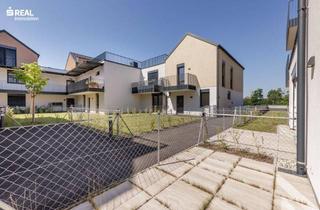 Wohnung mieten in 2020 Hollabrunn, ankommen & wohlfühlen: stilvolle 2 Zimmer-Wohnung