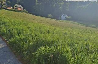 Grundstück zu kaufen in 8570 Voitsberg, Großes Baugrundstück (teilbar)!