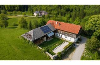 Büro zu mieten in 4221 Steyregg, Fast 300m² In einzigartiger Grünruhelage private Pferdehaltung möglich