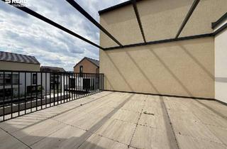 Wohnung mieten in 2020 Hollabrunn, moderner Erstbezug mit großzügiger Südterrasse – ideal für Singles