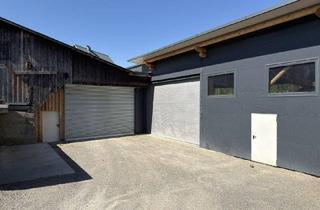 Gewerbeimmobilie mieten in 8583 Edelschrott, Hallen- und Lagerflächen mit vielseitigem Nutzungspotenzial in Edelschrott bei Köflach!