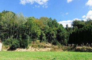 Grundstück zu kaufen in Dorf, 7534 Olbendorf, Bauland mit Waldstück