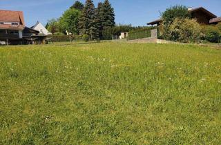 Grundstück zu kaufen in 8160 Weiz, Top Lage, auch perfekt für Bauträger - Ruhelage nahe Zentrum mit bester Anbindung, Dichte 0,3-0,8