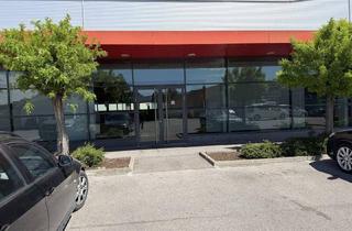 Geschäftslokal mieten in 2700 Wiener Neustadt, Einkaufs und Sportzentrum