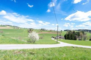Gewerbeimmobilie kaufen in 4155 Heinrichsberg, Landwirtschaftlicher Nutzgrund in Heinrichsberg