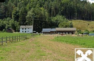 Haus kaufen in 9133 Sittersdorf, Wohnen, Natur & Freiraum vereint! Zweifamilienhaus mit Nebengebäuden, Landwirtschafts‑ und Forstflächen