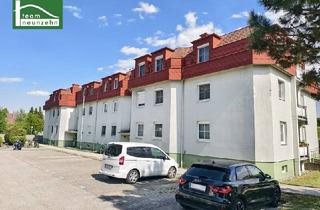 Genossenschaftswohnung in Mittelgasse, 3100 Sankt Pölten, Unbefristete Genossenschaftswohnung zwischen Stadt und Natur
