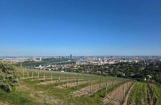 Gewerbeimmobilie kaufen in 1190 Wien, Weingarten am Nussberg in Wien 1190 mit traumhaften Weitblick