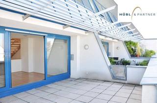 Maisonette mieten in Attemsgasse, 1220 Wien, 4 ZIMMER DG-MAISONETTE mit Terrasse | Swimmingpool, Fitnessraum, Sauna | Nahe U1 Kagran